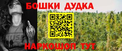 Альфа ПВП Новодвинск