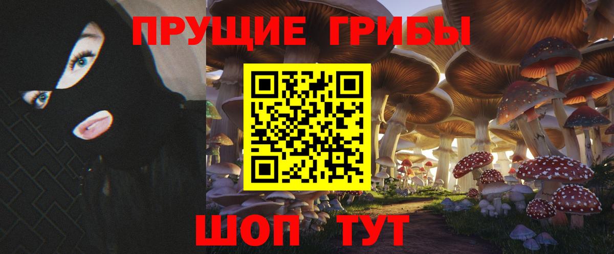 купить  цена  Вход с VPN  Тайшет  Псилоцибиновые грибы прущие грибы 